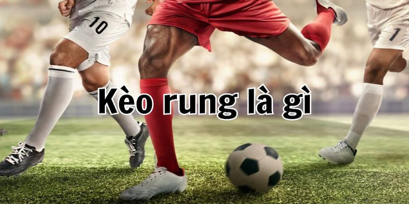 Bet thủ cần trang bị nhiều kinh nghiệm trước khi chơi rung