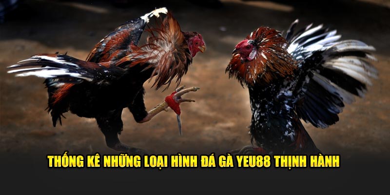 Thống kê những loại hình đá gà Yeu88 thịnh hành